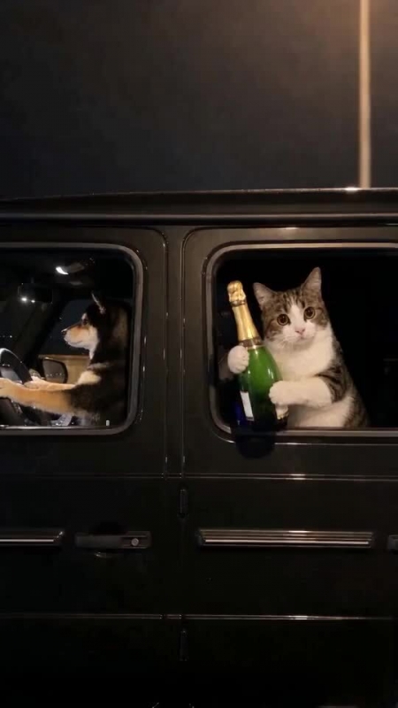 ふっと、ひと息