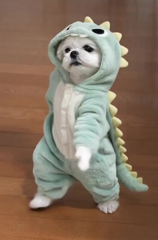 明日、出勤します(^-^)/