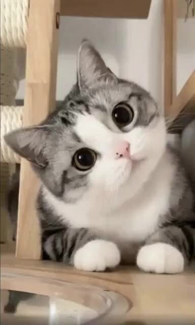 出勤しました(*´ω｀)(音源あり)
