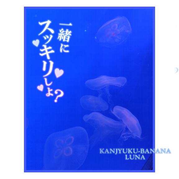漂って身を委ね