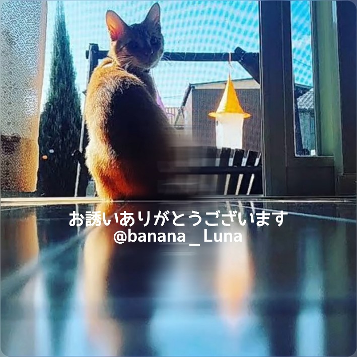 1枚目