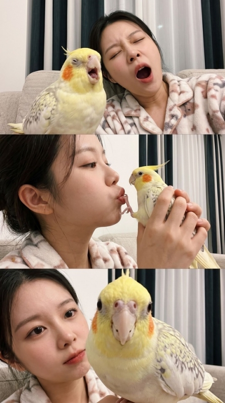 確かに可愛いけど…。