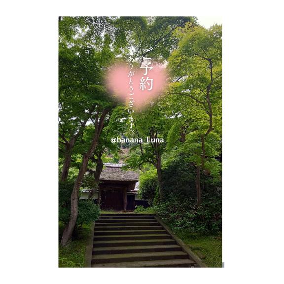 ワクワクな朝
