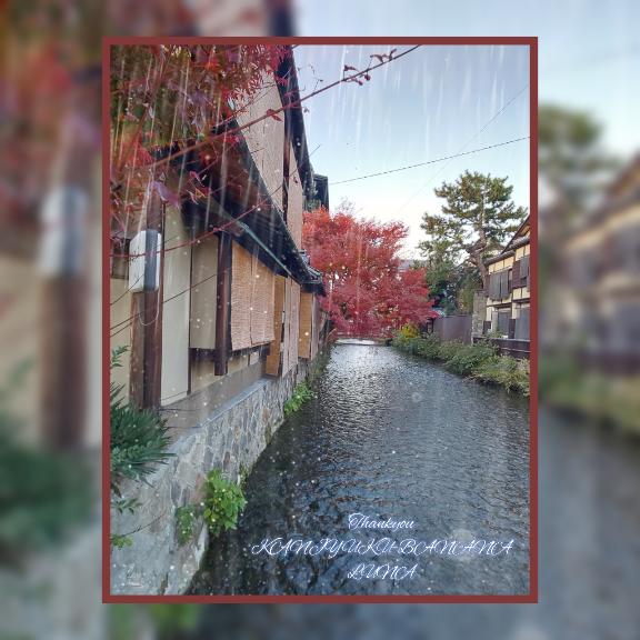 心まで艶めく朝