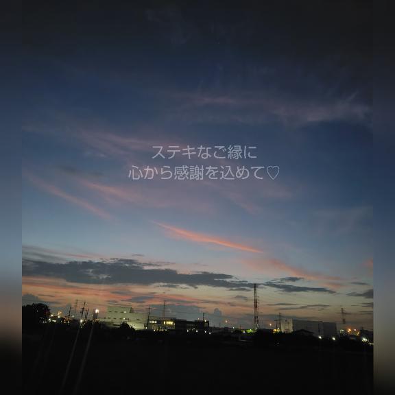今日のお礼日記?心からの感謝を込めて?