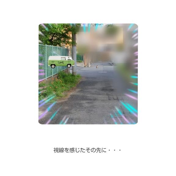 視線を感じたその先に・・・