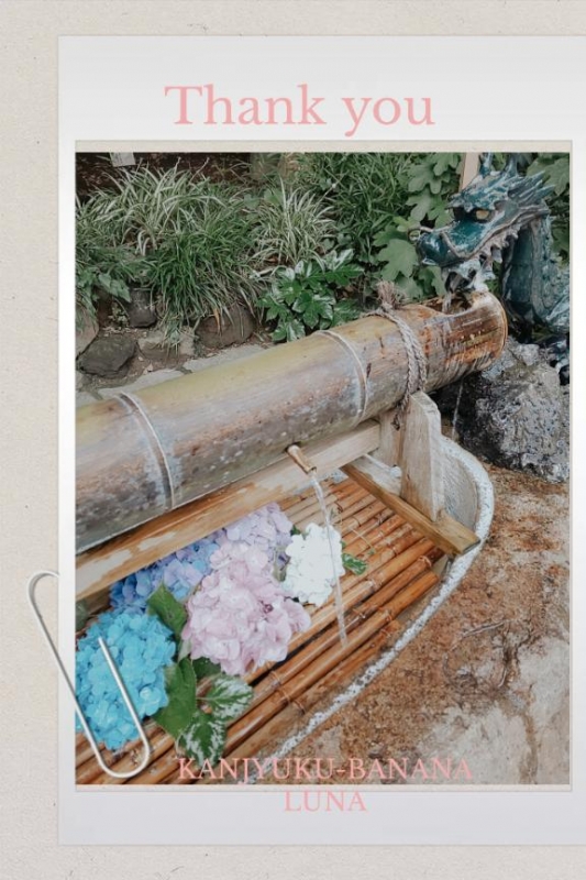 温もりに浄化され?