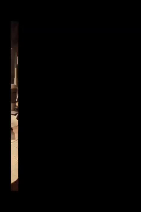 ゆみ動物園へようこそ(*σ´ｪ｀)σ