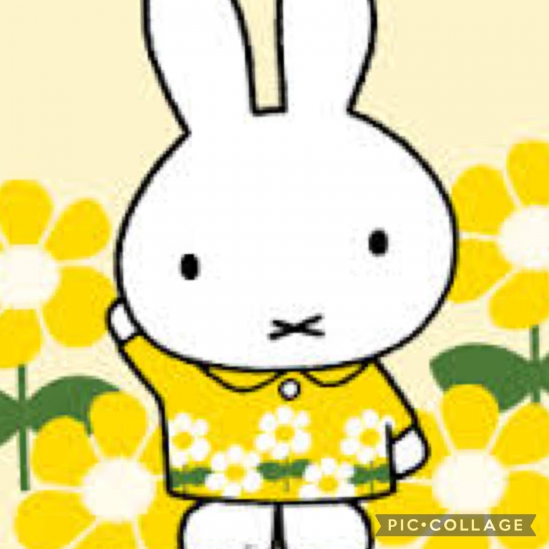 先程有難う御座いました