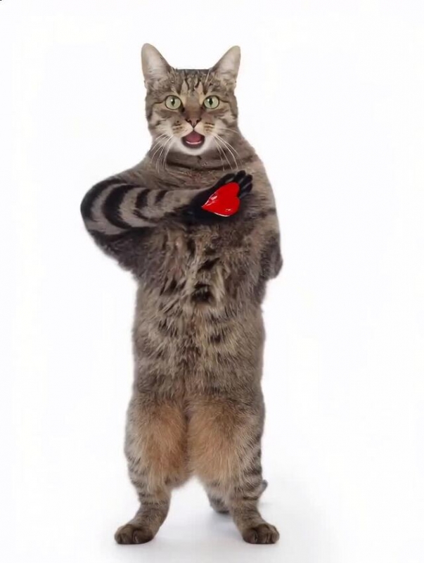 今日はありがとうございました(^-^)/