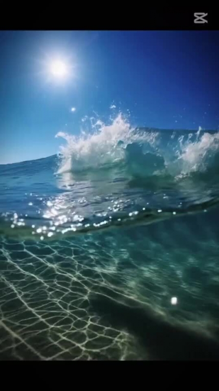 血液型別天ぷらの揚げかた( *´艸｀)