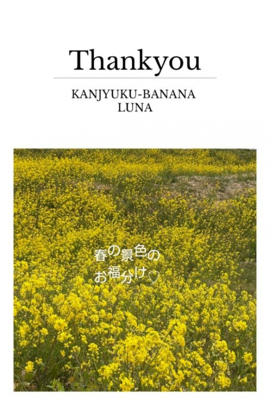 春のお福分け??