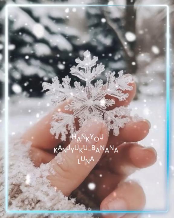 雪の日のご縁に心からの感謝を込めて