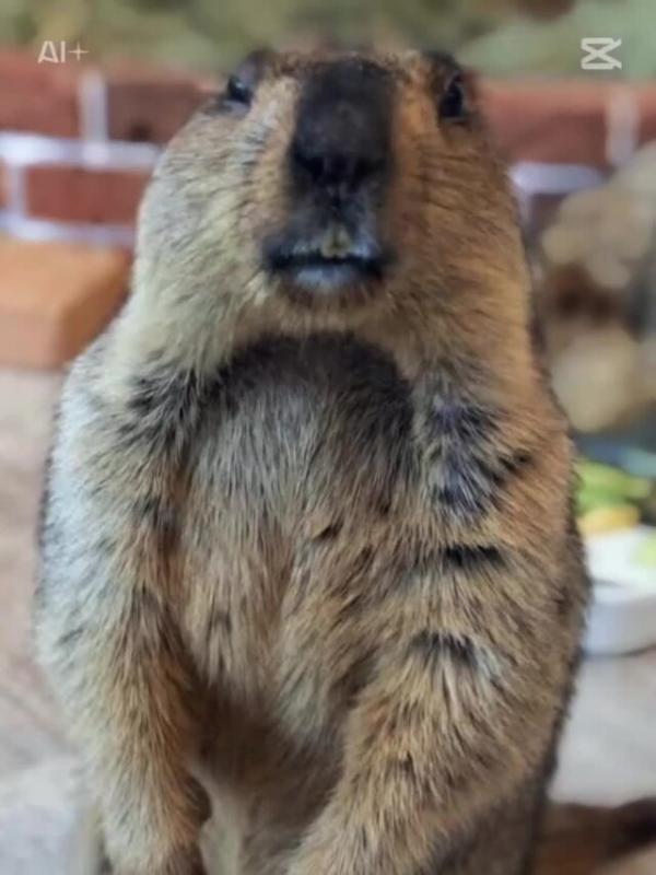 今日はありがとうございました(^-^)