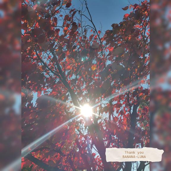 溢れる日々に感謝！