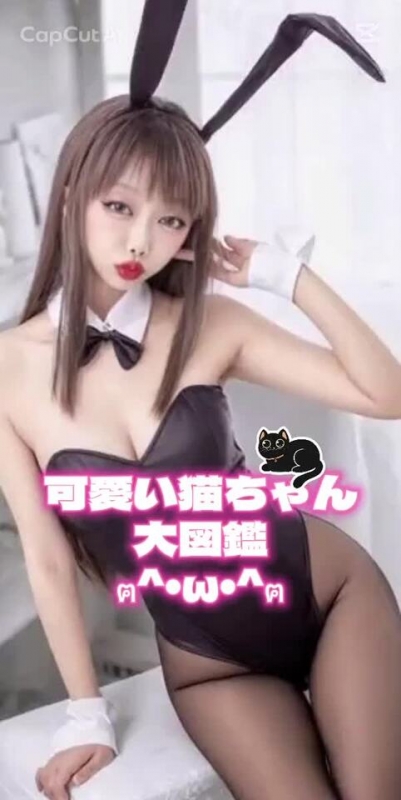 静かな余韻に包まれて…おやすみなさい