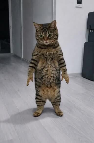 癒し癒されるお時間(*´ω｀)