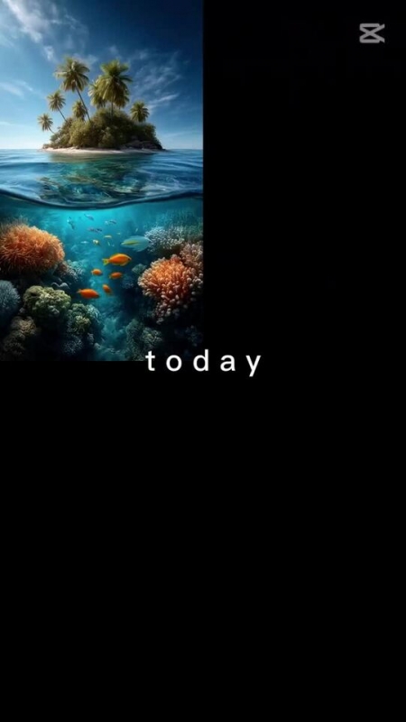 犬の爪切り特集( *´艸｀)