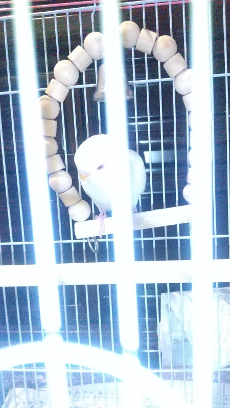 1枚目