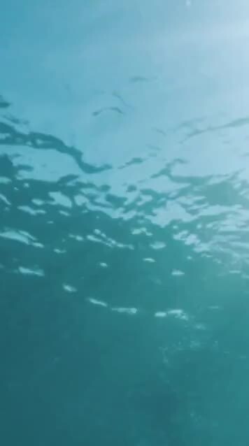 癒される(*´ω｀)♥️(音源あり)