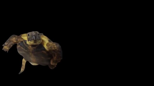 明日を楽しみにしています